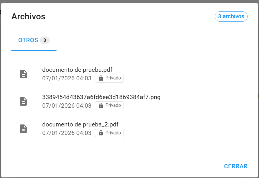 Ver archivos (modal)
